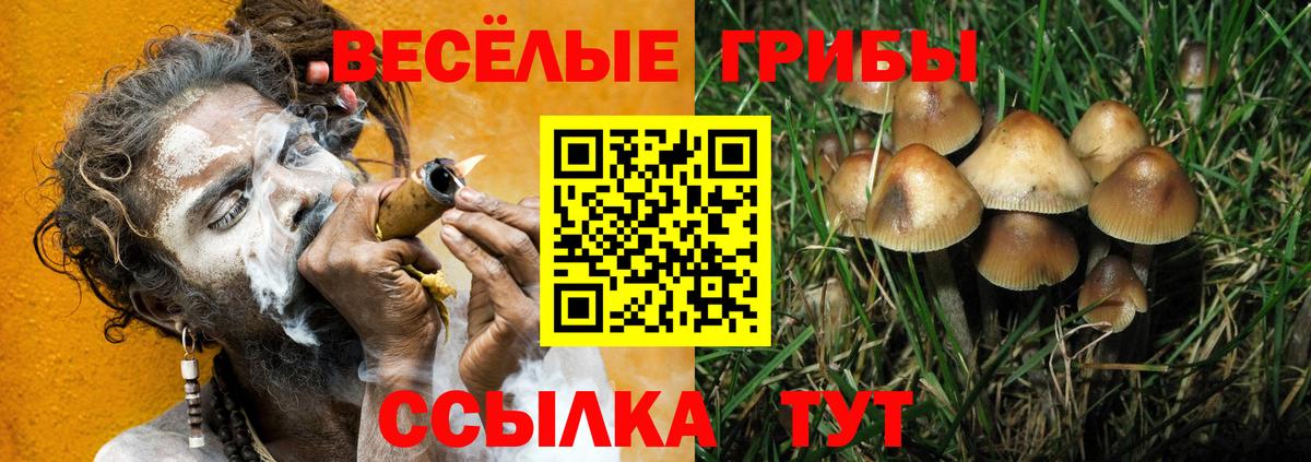 Галлюциногенные грибы MAGIC MUSHROOMS  Псилоцибиновые грибы Psilocybe  Мыски  Вход с VPN 