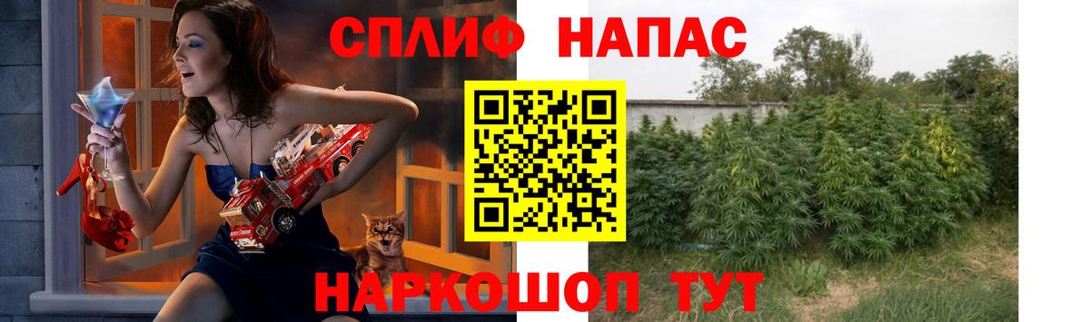Конопля гибрид  Канабис гибрид  Мыски  МАРИХУАНА гибрид  Марихуана Amnesia  Вход с VPN 